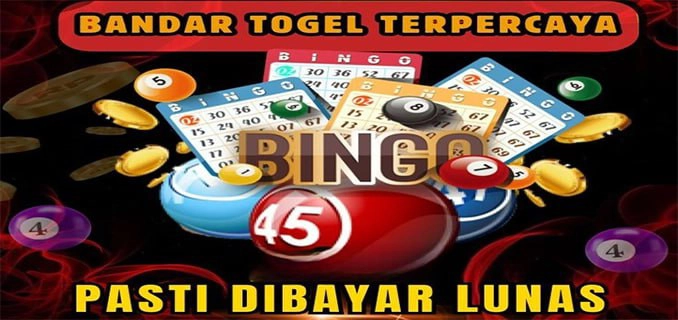 7mmbet Mobile
